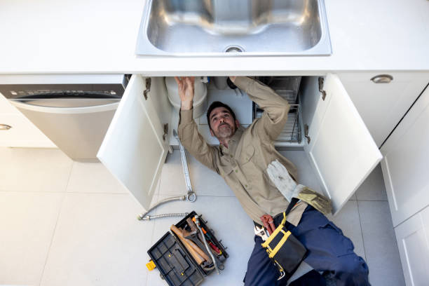 Best Septic Systems  in Leadville, CO